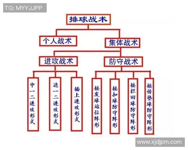 上海排球队中路突破的战术解析与训练策略深度剖析