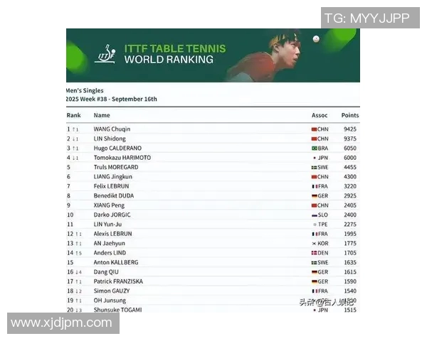 乒乓球耐力排行榜揭晓北京乒乓球队荣登第十名引发关注