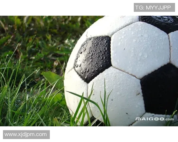 全球顶级足球明星全名汇总与成就解析