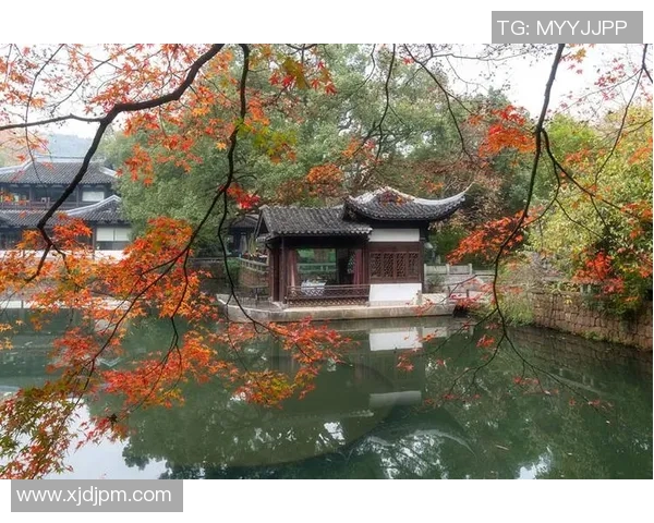 杭州乒乓球队的节奏与魅力探秘:从训练到比赛的全景观察 杭州乒乓球队的节奏与魅力探秘:从训练到比赛的全景观察