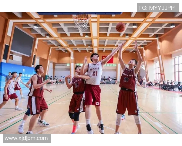 篮球力量榜单揭晓北京篮球队荣登第八名展现强劲实力