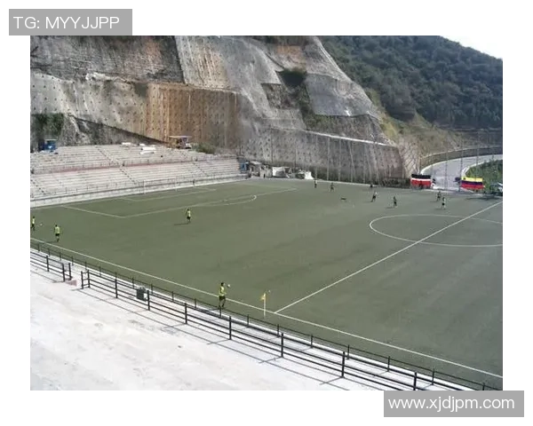 木材与足球的奇妙结合探讨运动器材的环保与可持续发展之路